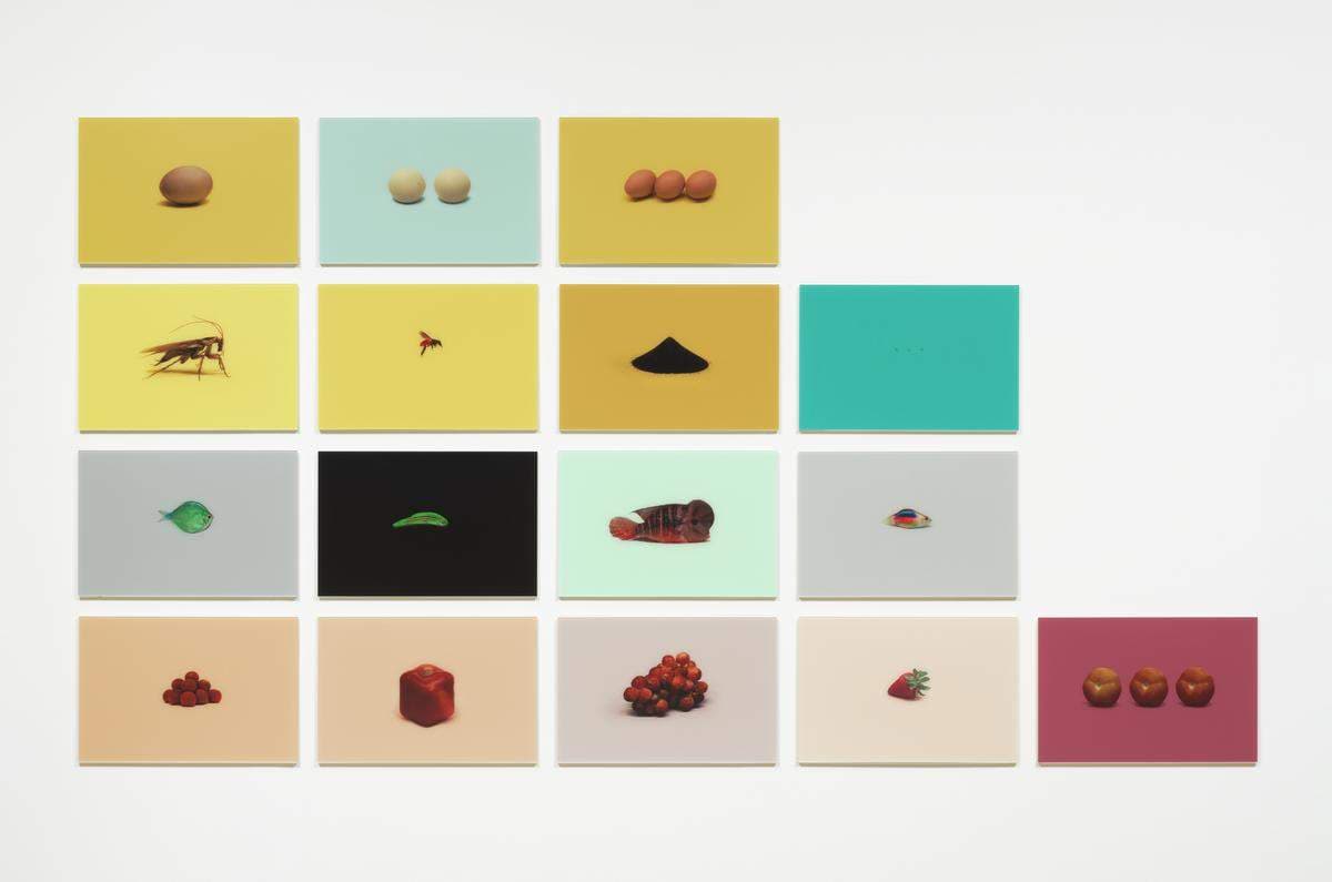 Grid-based conceptual artwork with object studies